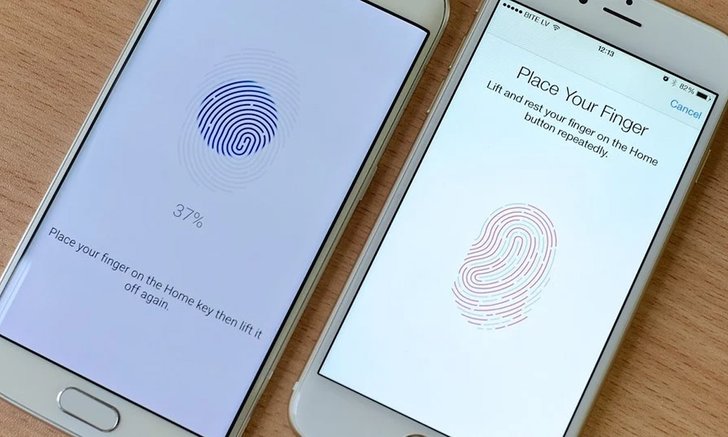 ผู้บริหาร Apple กล่าว “Samsung ก็แค่ลอกของเราแล้วทำให้จอมันใหญ่ขึ้น แถมไม่ดีอีก”
