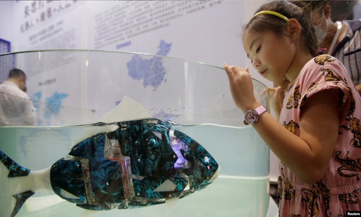 นักวิทย์จีนพัฒนา 'หุ่นยนต์ปลา' กินไมโครพลาสติก