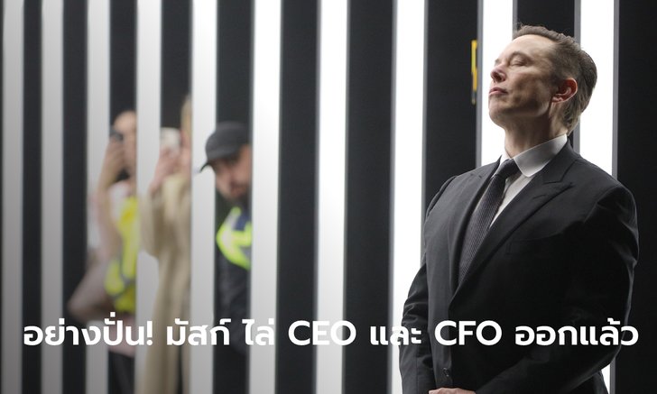 Elon Musk ԴŷԵ á CEO  CFO ͡