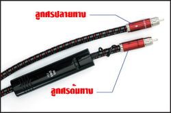 AudioQuest Interconnect & Speaker Cable