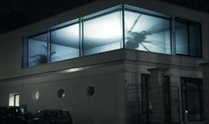 ตะลึง"แมงมุมยักษ์"โผล่ในตึกที่เยอรมัน?