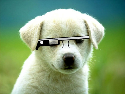 Google Glass จะส่อแววล่ม?