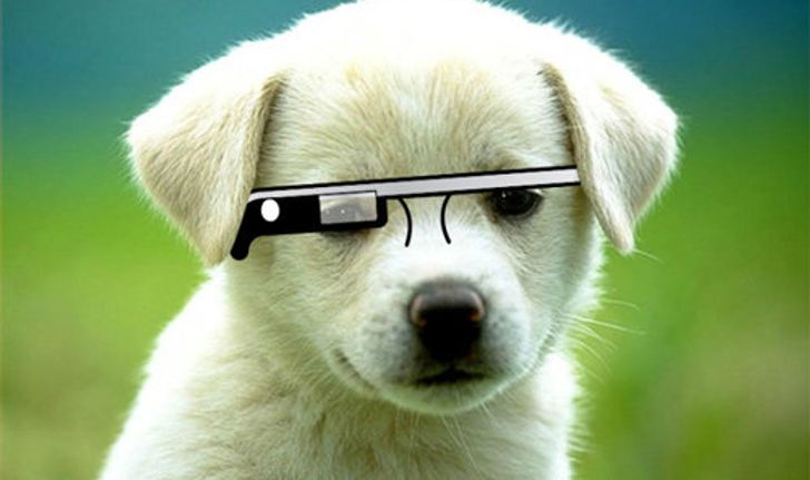 Google Glass จะส่อแววล่ม?