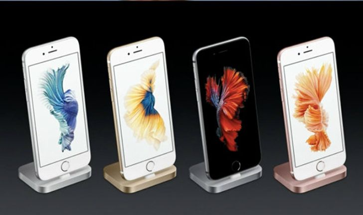 ปลากัดไทยดังทั่วโลก! Apple ชูเป็นวอลเปเปอร์ใหม่ iPhone 6s