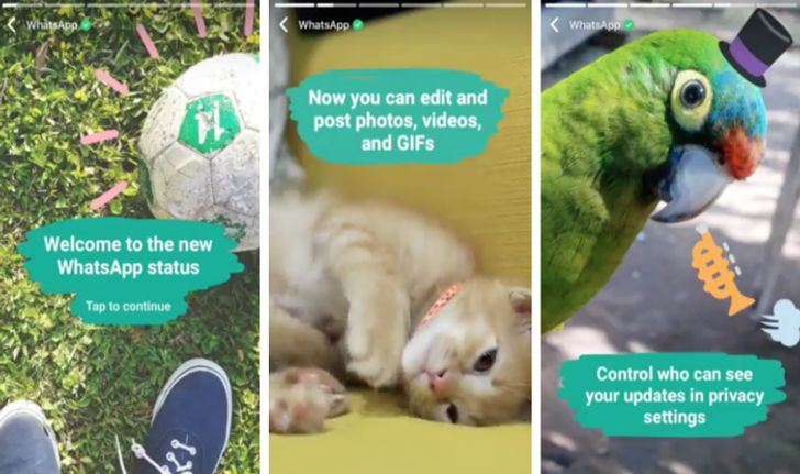 WhatsApp เพิ่มฟีเจอร์แชร์ภาพที่ลบตัวเองใน 24 ชั่วโมงชื่อ Status