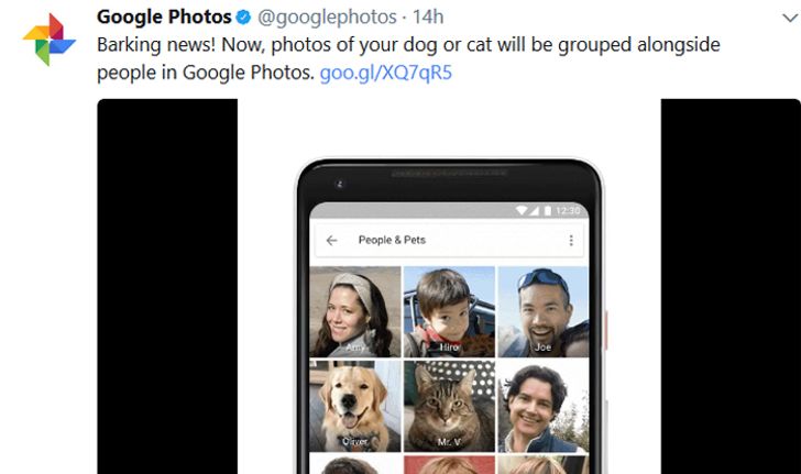 Google Photos เพิ่มฟีเจอร์ใหม่ ใส่ชื่อให้รูปสัตว์เลี้ยงแสนรักของคุณได้ทันที