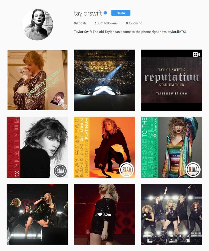 5instagram-followers-taylorsw