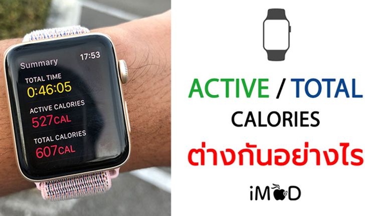 Active Calories กับ Total Calories ใน Apple Watch แตกต่างกันอย่างไร