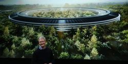 Apple Park campus อาคารกระจกใส ความสวยงาม ที่แลกมาด้วยการเจ็บตัวของพนักงาน