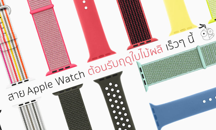 Apple เปิดขายสาย Apple Watch สีสันสดใส ต้อนรับช่วงฤดูใบไม้ผลิ