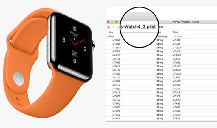 พบรหัสโมเดลของ Apple Watch รุ่นใหม่ใน iOS 12 beta 2 ยืนยันการมาของ Apple Watch Series 4