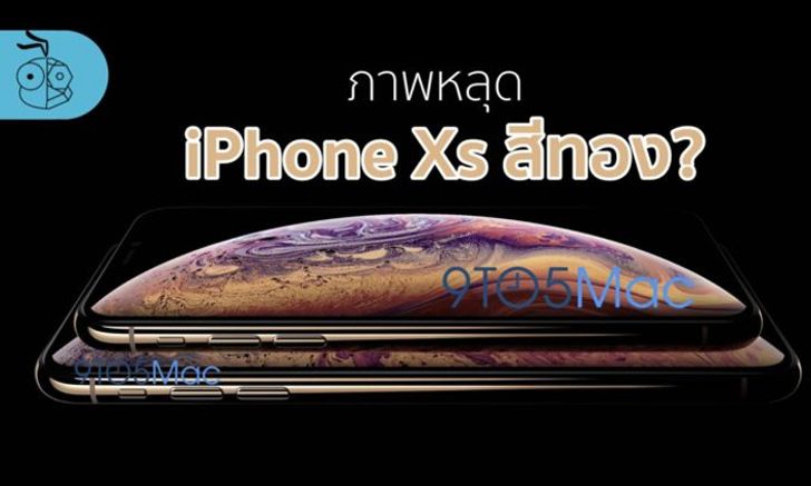 สื่อนอกปล่อยภาพหลุดครั้งแรก iPhone Xs ปี 2018 สีทองทั้งรุ่น 5.8″ และ 6.5″