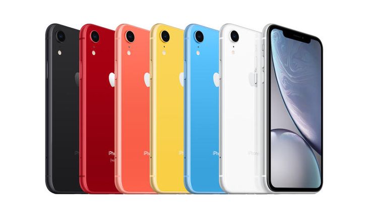 พบวิธีแก้ปัญหาเรื่องการถ่ายโหมด Portrait ใน "iPhone XR" ให้สามารถถ่ายสัตว์เลี้ยงได้