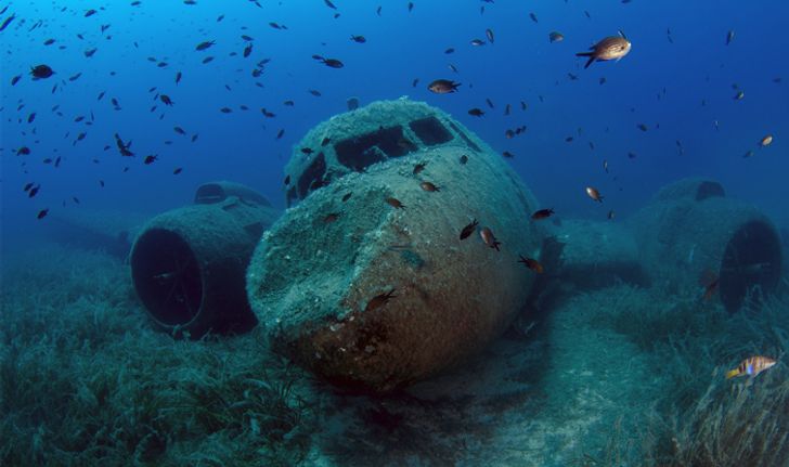 "หุ่นยนต์ใต้น้ำ" เตรียมปลูกลูกปะการังตามแนวประการังยักษ์ของออสเตรเลีย