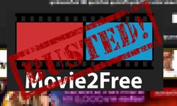 เอาจริงกันมากขึ้น เมื่อเว็บหนังเถื่อนดัง Movie2free ถูกจับแล้ว (แต่งงว่าทำไมเว็บยังเข้าได้)