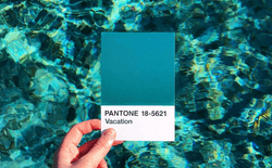 มาแต่งรูป Pantone ให้อินเทรนด์ ด้วยแอปในโทรศัพท์กันเถอะ