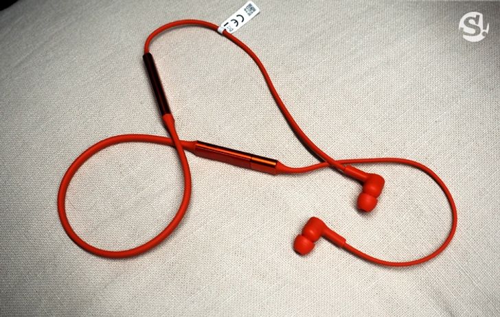 p8010004