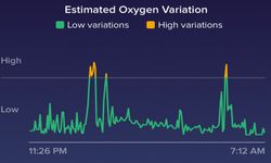 ฟีเจอร์ใหม่จากฟิตบิท กราฟแสดงค่าออกซิเจน "Estimated Oxygen Variation"