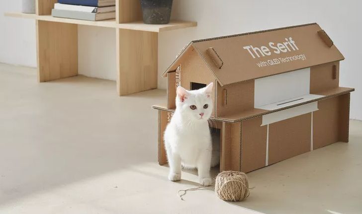 ทาสแมวถูกใจสิ่งนี้ กล่องใส่ทีวี Samsung รุ่นใหม่ จะสามารถพับเป็นบ้านให้น้องแมวอยู่ได้