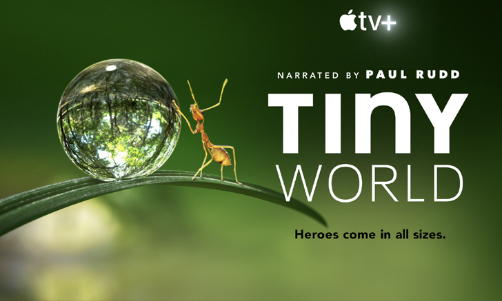 Apple TV+ เผยตัวอย่างซีรีส์ “TINY WORLD” ให้เสียงและอำนวยการสร้างโดย Paul Rudd