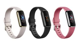 เผยภาพแรกของ Fitbit Luxe Smart Band สุดหรุและบางเฉียบกับวัสดุสแตนเลสสตีล