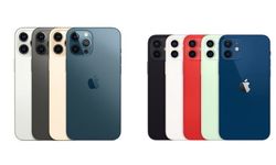 ยอดขาย iPhone 12 Pro Max และ iPhone 11 มียอดขายสูงที่สุดในไตรมาส