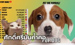 แมวไปหมามา ต่อเนื่องความสนุกกับ "POPDOG" บอกเลย ไทยแลนด์ต้องที่ 1 เท่านั้น