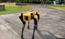 หุ่นยนต์สุนัขตำรวจ: เครื่องมือที่มีประโยชน์หรือสิ่งคุกคาม?