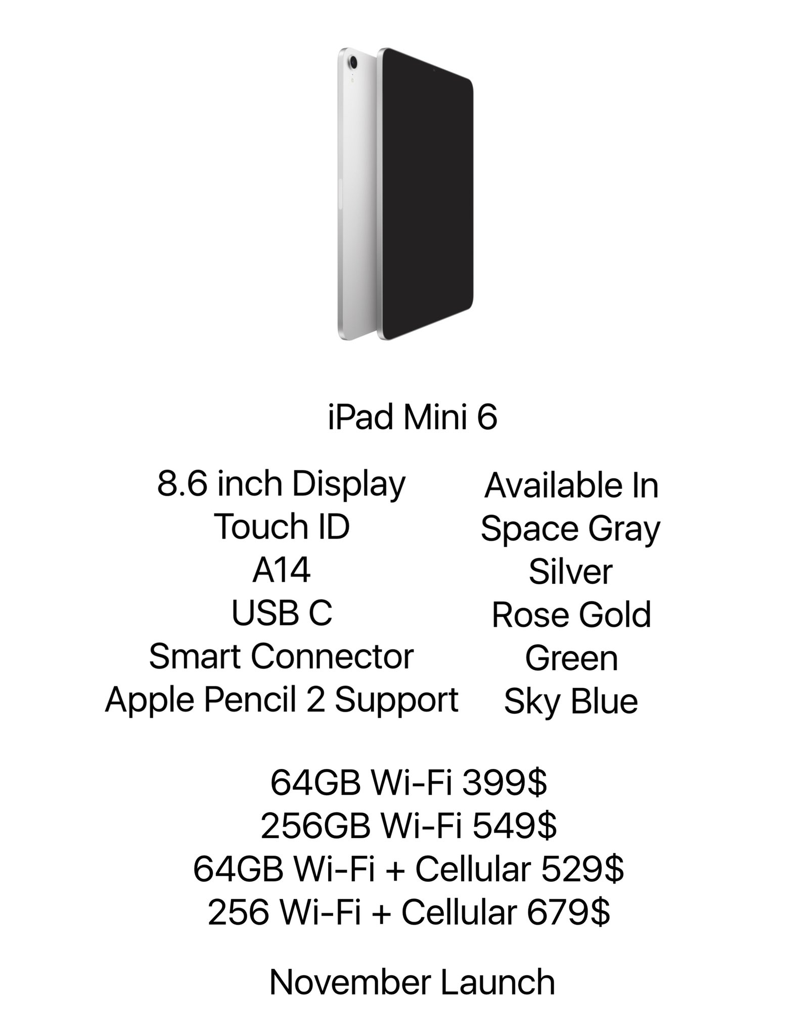 iPad mini 6