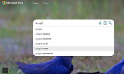 Google เผยคำที่ถูกค้นหามากที่สุดใน Bing คือคำว่า “Google”