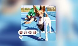 Instagram เพิ่ม 7 ฟีเจอร์ใหม่ที่จะทำให้การส่งข้อความสนุกมากขึ้น