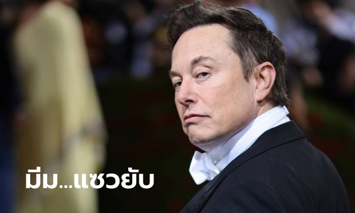 มีมเขาแรงจริง Elon Musk โพสต์เย้ย Twitter บอกเจอกันที่ศาลนะ