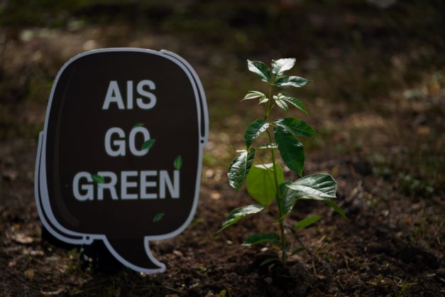 pic13aisgogreen