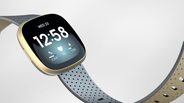 fitbit_1002