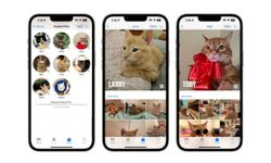 ทาสแมวถูกใจสิ่งนี้ เมื่อแอปพลิเคชัน Photos ใน iOS17 สามารถตั้งชื่อสัตว์เลี้ยงของคุณได้