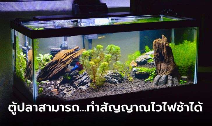 10 สิ่งที่ทำให้สัญญาณ Wi-Fi ในบ้านของคุณลดทอนกำลังลง