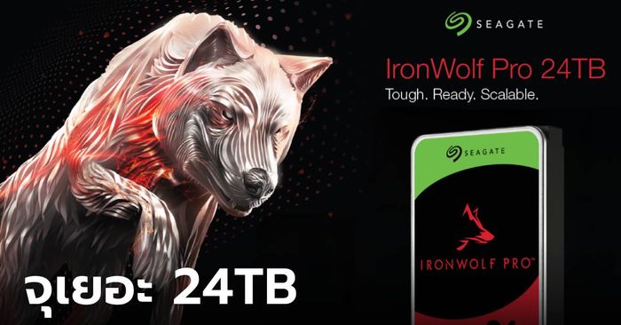 ซีเกตเปิดตัว IronWolf Pro ความจุใหม่สูงสุด 24TB