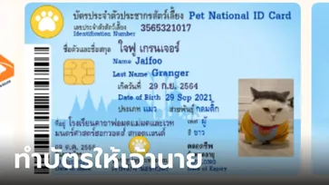 วิธีทำบัตรประชาชนหมาแมว สัตว์เลี้ยงของคุณ ง่ายๆ ผ่านเว็บไซต์ Petdy