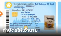 วิธีทำบัตรประชาชนหมาแมว สัตว์เลี้ยงของคุณ ง่ายๆ ผ่านเว็บไซต์ Petdy