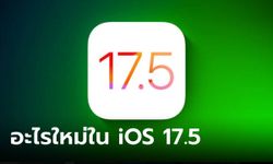 8 ลูกเล่นใหม่ที่ควรเล่น iOS 17.5 รุ่นใหม่ ก่อนเปิดให้คุณได้ลองเล่นเร็วๆ นี้