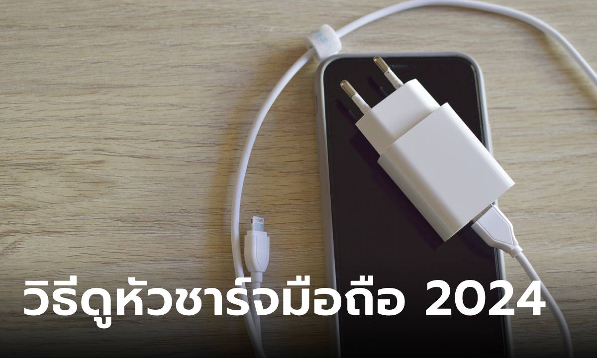 มาตรฐานหัวชาร์จในปี 2024 แต่ละจุดบอกอะไร รู้ก่อนซื้อผิด