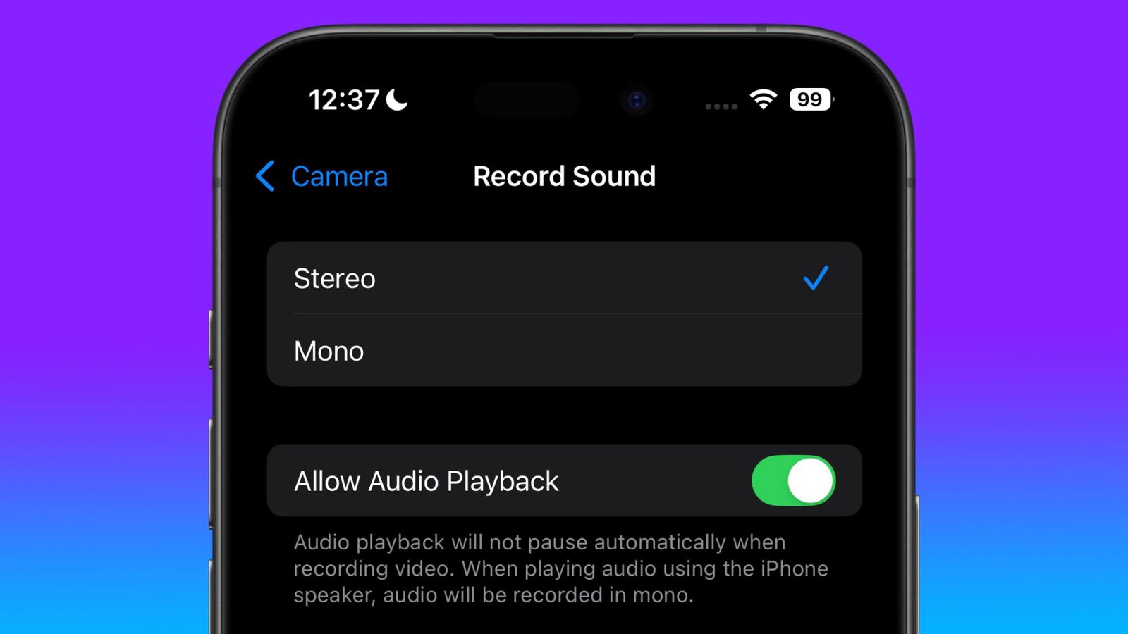 allow-audio-playback-camera-s