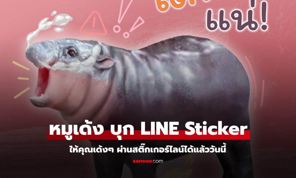 "หมูเด้ง" ฮิปโปน้อยสุดฮิต บุก LINE ครบทุกแพลตฟอร์ม!