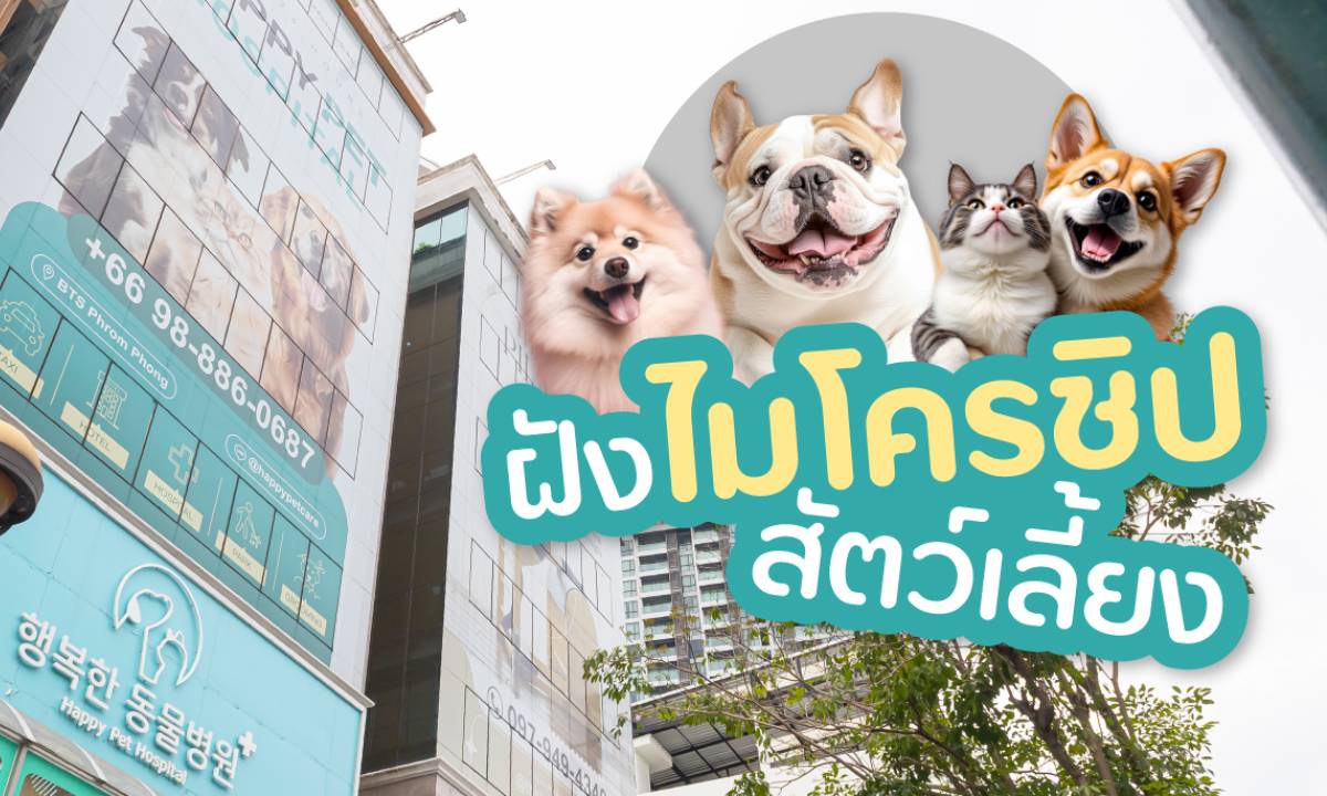 Happy Pet Hospital จัดโครงการฝังไมโครชิปฟรี!   สนับสนุนความปลอดภัยและสวัสดิภาพของสัตว์เลี้ยง