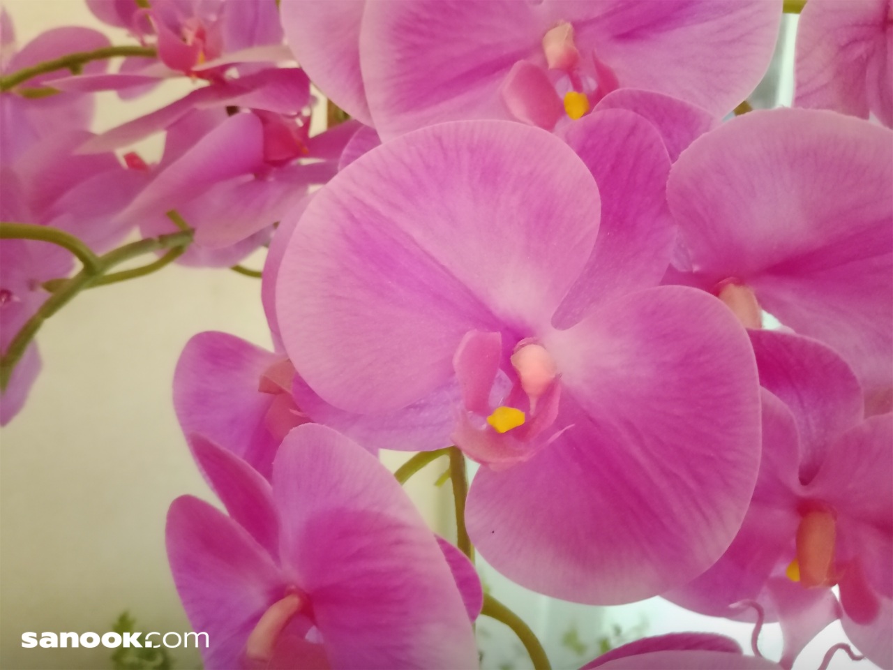 batch_1img_20250426_180513