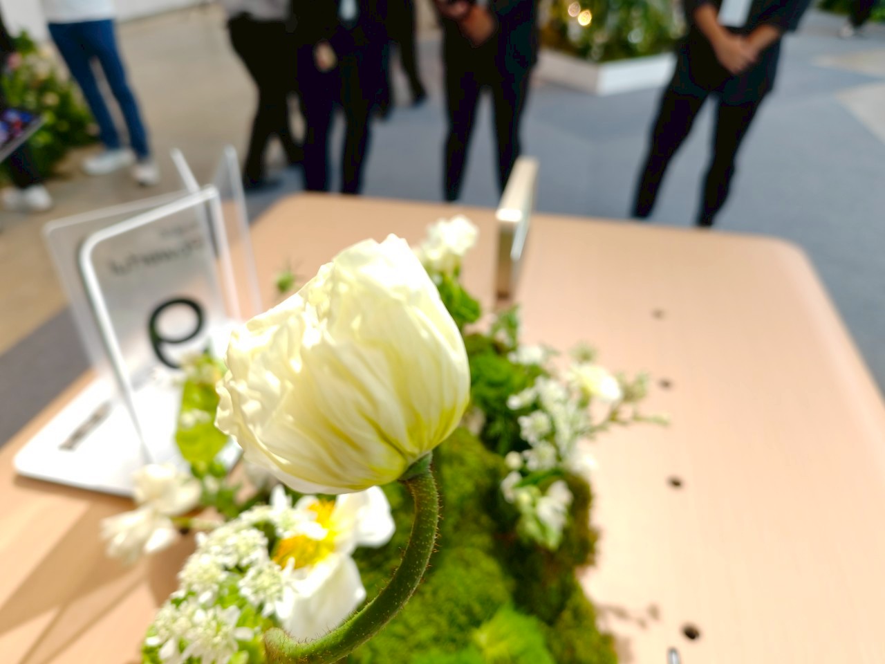 line_album_findn5_250408_20
