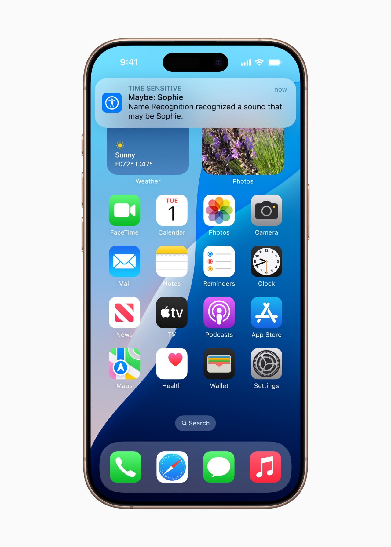batch_apple-accessibility-fea_3