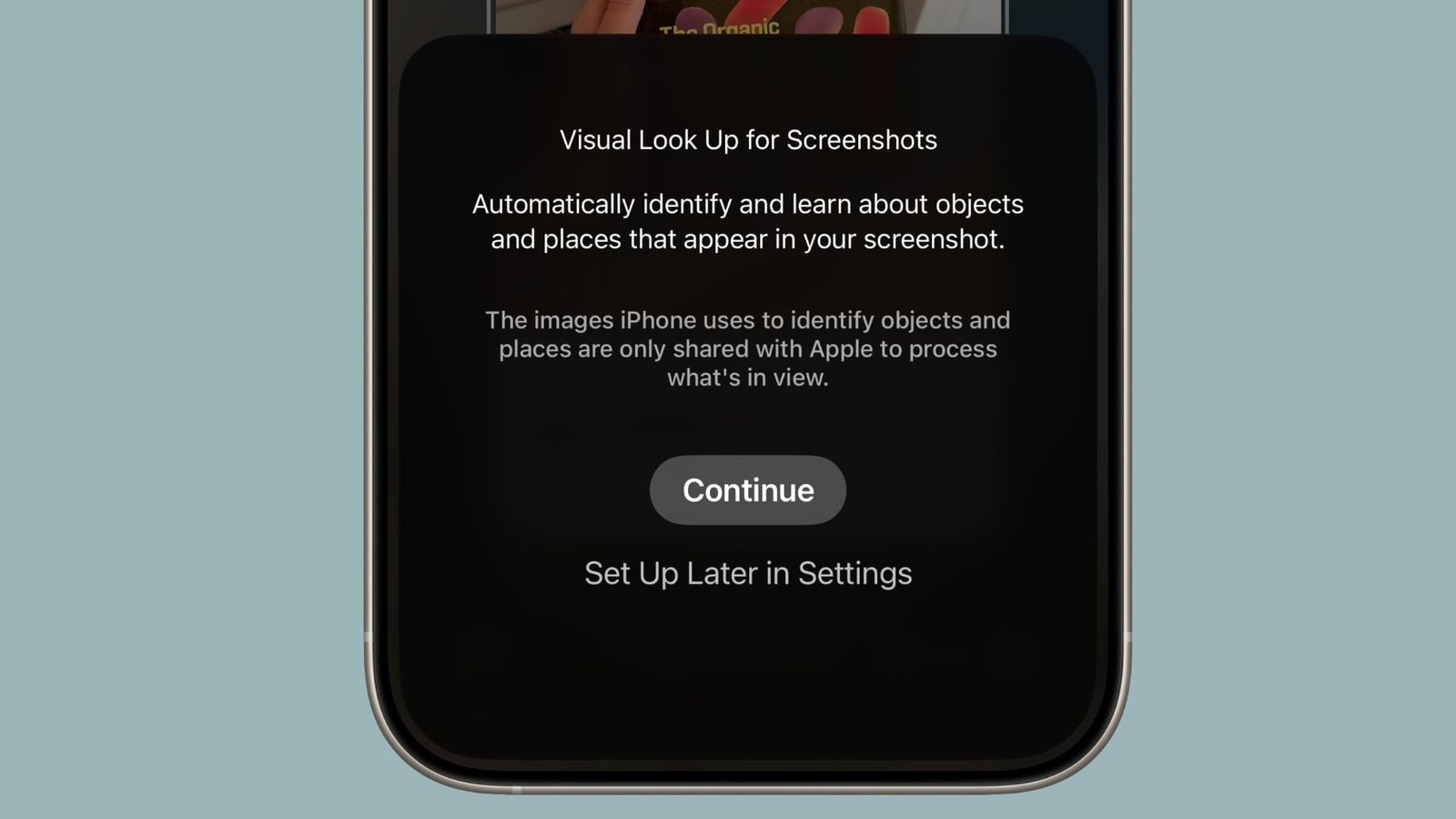 visual-lookup-ios-26