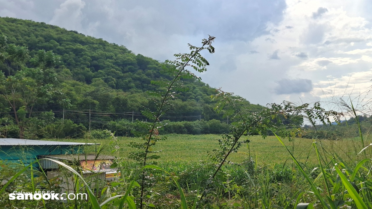 batch20251003_154255