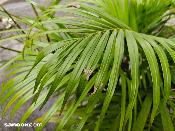 batch_img20251112120450